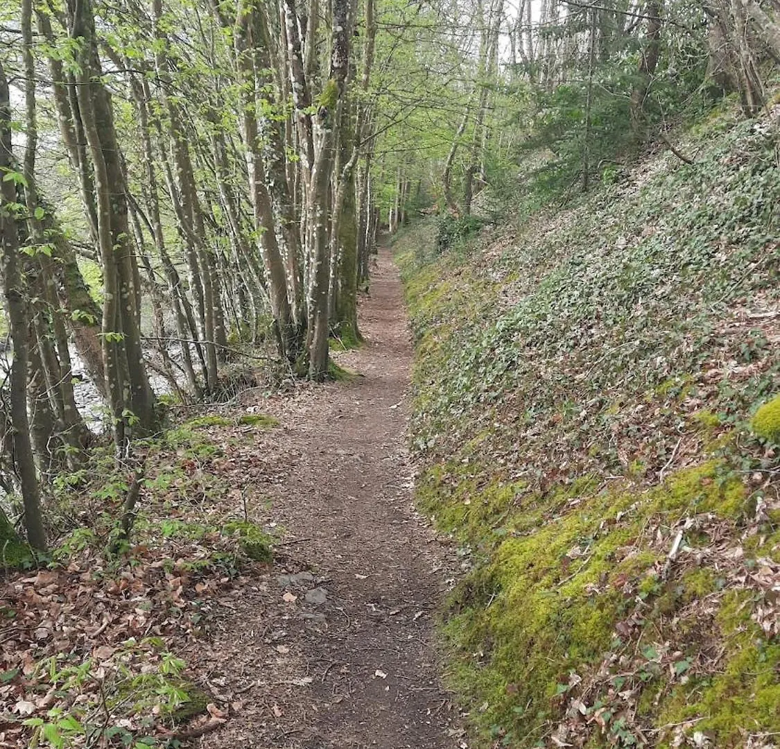 Keranna, Une Maison Entre Riviere Et Foret La Forest-Landerneau Nyaraló